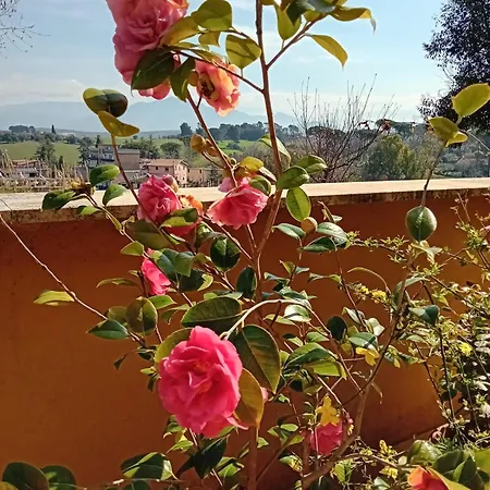 Acasadimamma Monterotondo (Lazio)
